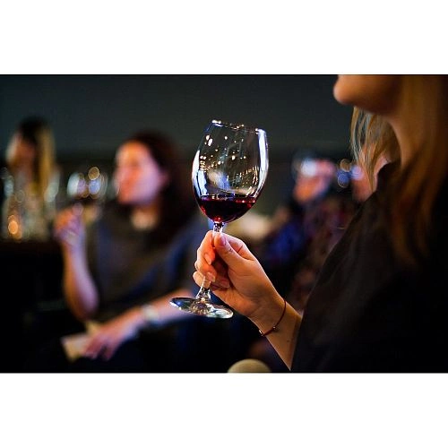 Шкаф винный CASO WineSafe 12 Black — изображение 3