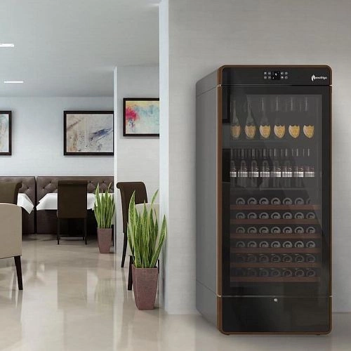 Шкаф винный ENOFRIGO DUAL VENT I.AM H2000 статический черный рамка серебристая 4 полки — изображение 4